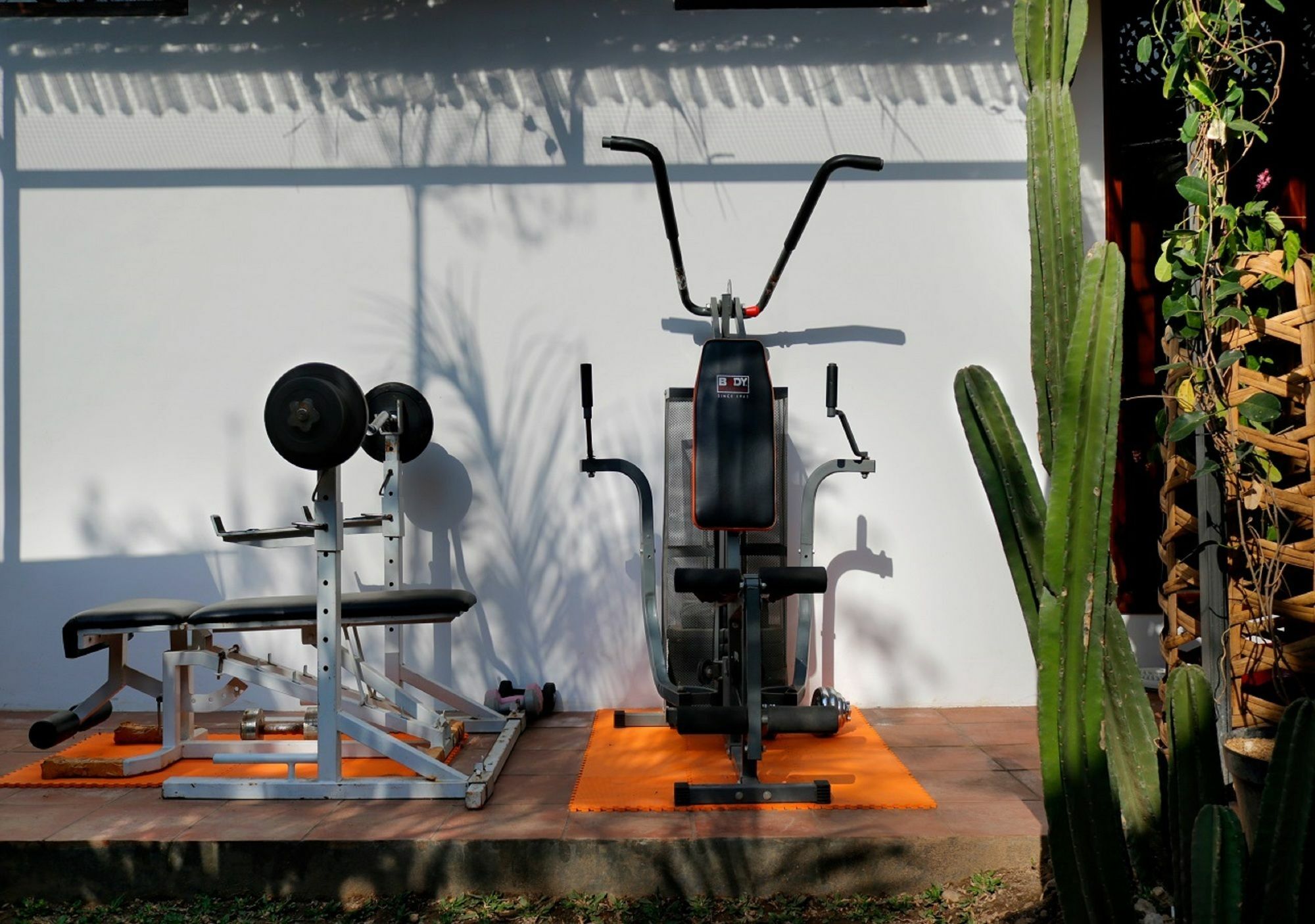 Bali Bee House Hotel Kerobokan  Luaran gambar